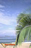 Nayarit
