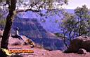 chihuahua-picture-of-mexico-18.jpg