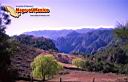 chihuahua-picture-of-mexico-23.jpg