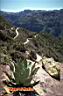 chihuahua-picture-of-mexico-32.jpg