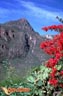 chihuahua-picture-of-mexico-46.jpg