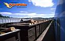 chihuahua-picture-of-mexico-8.jpg