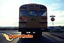 ciudadjuarez-picture-of-mexico-13.jpg