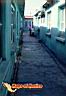 ciudadjuarez-picture-of-mexico-22.jpg