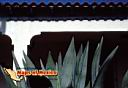 ciudadjuarez-picture-of-mexico-26.jpg