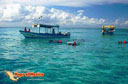 islamujeres-picture-of-mexico-22.jpg