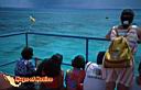 islamujeres-picture-of-mexico-11.jpg