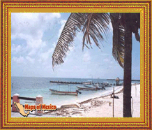 Click here for Puerto Morelos, Quintana Roo, Mexico pictures!