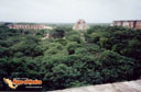 Uxmal-picture-of-mexico-9.jpg