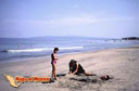 Nayarit