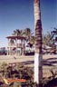 la-paz-picture-of-mexico-43.jpg