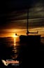 la-paz-picture-of-mexico-44.jpg