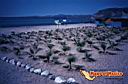 lapaz-picture-of-mexico-19.jpg