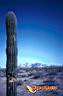 lapaz-picture-of-mexico-20.jpg