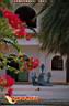 lapaz-picture-of-mexico-24.jpg