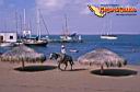 lapaz-picture-of-mexico-28.jpg