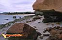 lapaz-picture-of-mexico-29.jpg
