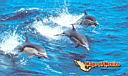 lapaz-picture-of-mexico-5.jpg
