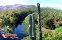 Mulegebaja-california-sur-mexico11.jpg