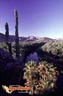 Mulege-baja-california-sur-mexico13.jpg