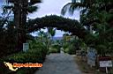 san-jose-del-cabo-picture-of-mexico-100.jpg