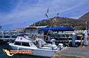 san-jose-del-cabo-picture-of-mexico-106.jpg