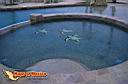 san-jose-del-cabo-picture-of-mexico-146.jpg