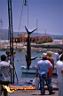 san-jose-del-cabo-picture-of-mexico-165.jpg