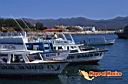 san-jose-del-cabo-picture-of-mexico-170.jpg