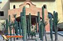 san-jose-del-cabo-picture-of-mexico-180.jpg
