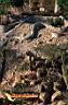 san-jose-del-cabo-picture-of-mexico-27.jpg