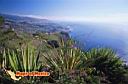 san-jose-del-cabo-picture-of-mexico-3.jpg