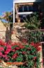 san-jose-del-cabo-picture-of-mexico-37.jpg