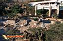 san-jose-del-cabo-picture-of-mexico-42.jpg