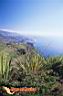 san-jose-del-cabo-picture-of-mexico-5.jpg
