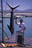 san-jose-del-cabo-picture-of-mexico-55.jpg