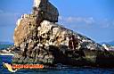 san-jose-del-cabo-picture-of-mexico-77.jpg