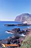 san-jose-del-cabo-picture-of-mexico-9.jpg