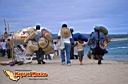 san-jose-del-cabo-picture-of-mexico-90.jpg