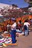 tijuana-picture-of-mexico-101.jpg