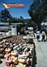 tijuana-picture-of-mexico-122.jpg