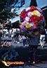 tijuana-picture-of-mexico-131.jpg