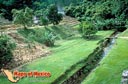 Palenque, Chiapas