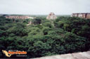 Uxmal, Yucatan