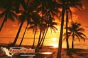 Cabo San Lucas, Baja Caliufornia Sur