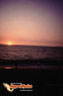 Nayarit